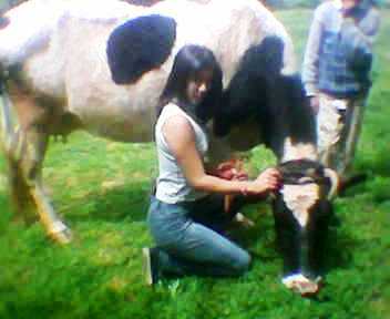 oh la vache!!