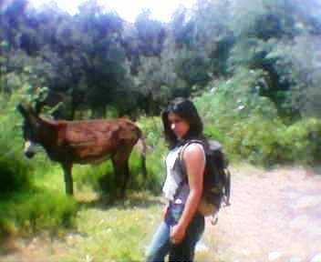 le bo paysage